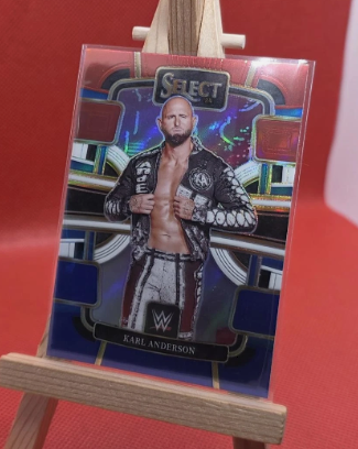 Karl Anderson WWE Select SmackDown Concourse Red White & Blue