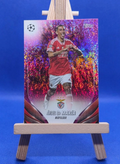 Angel Di Maria Topps Uefa Club Competitions 2023/24 Benfica Pink Shimmer
